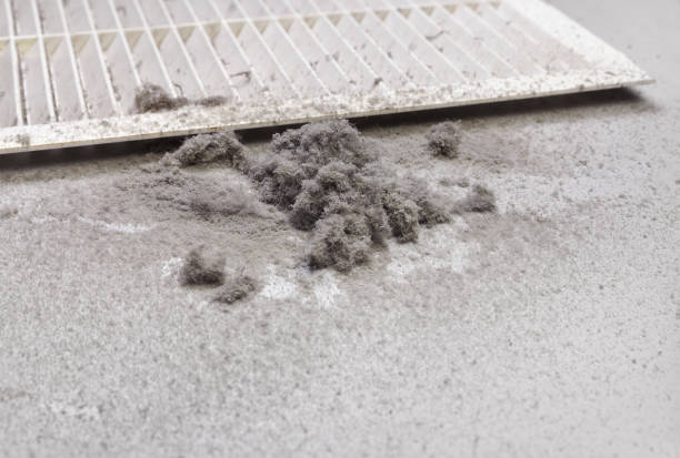 Professional Airduct Cleaning in MI