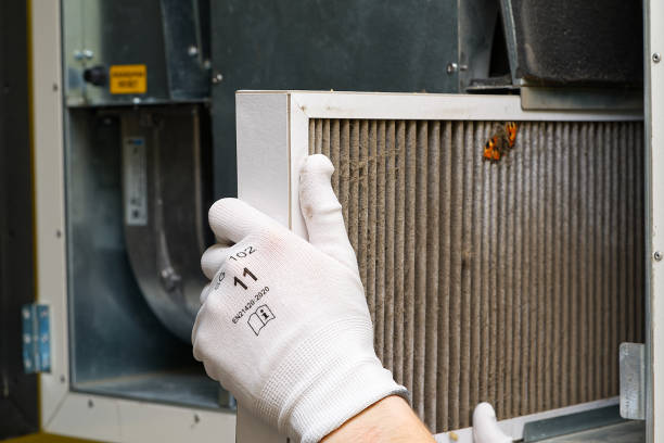 Best Affordable Duct Cleaning Services  in Ironwood, MI