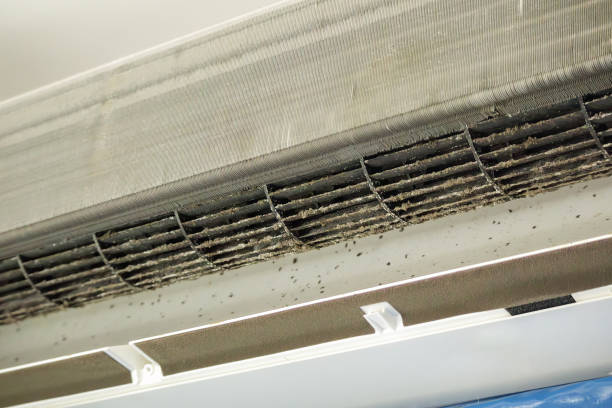 Best HVAC Air Duct Cleaning  in Ironwood, MI